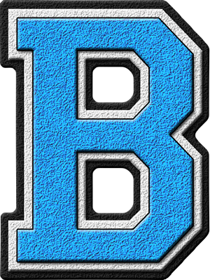 Lloyd C. Bird High School
