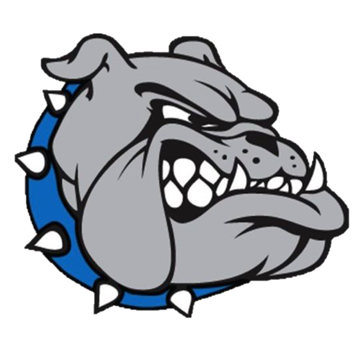 Carbon Hill High School