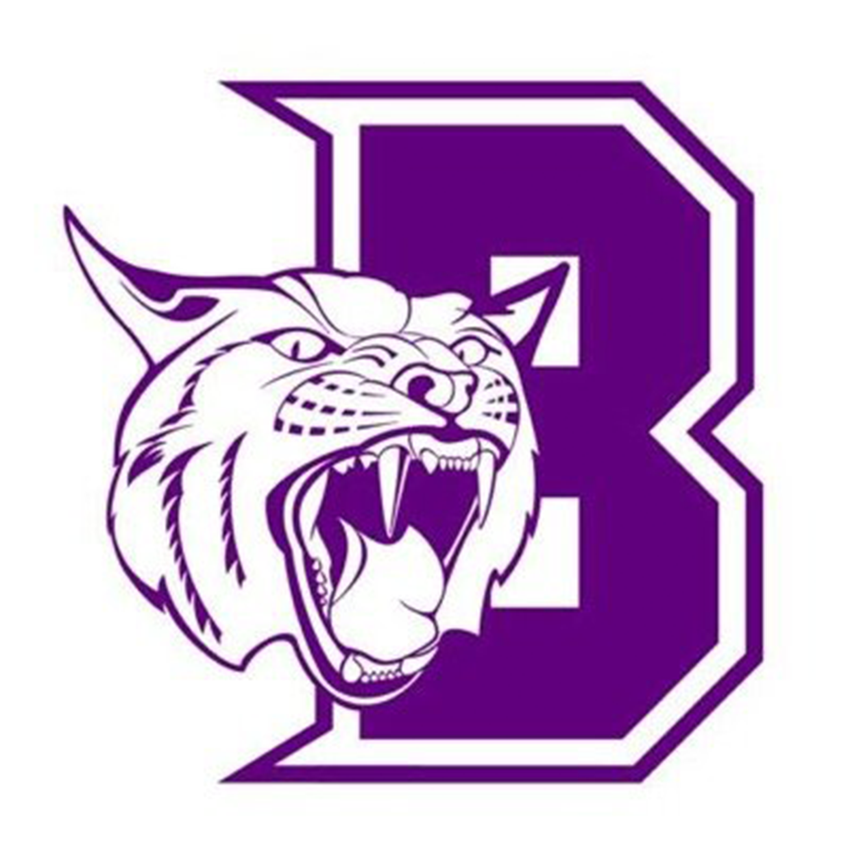 Berryville High School