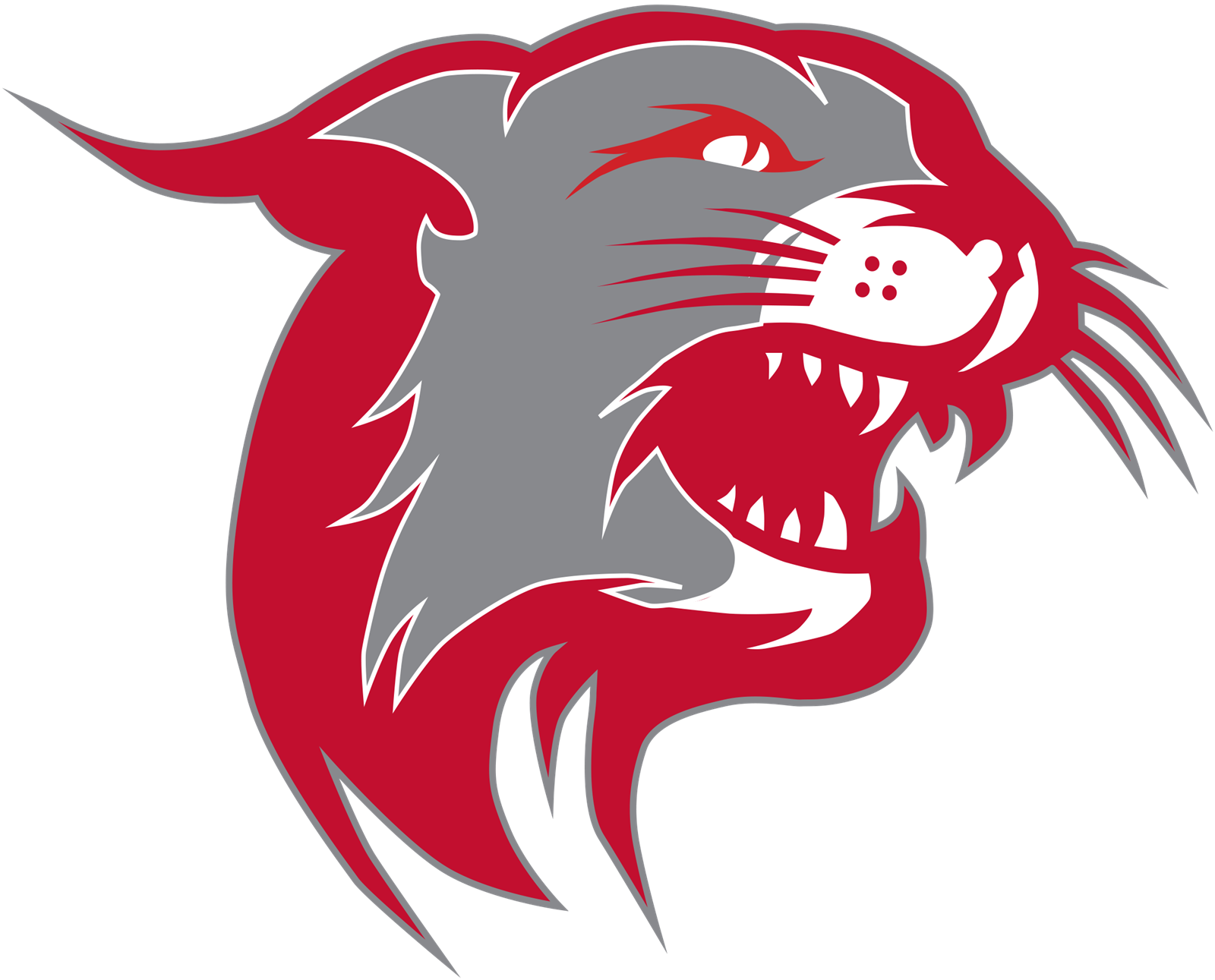 Owen J Roberts High School