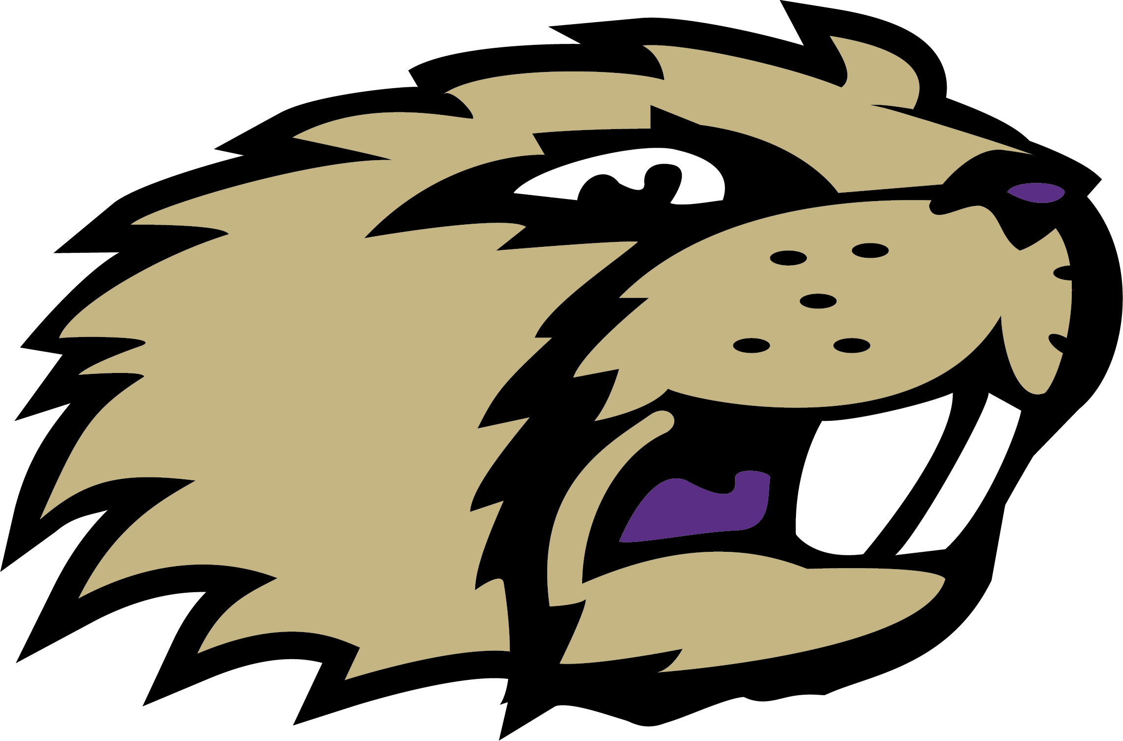Western Beaver Junior/Senior High School