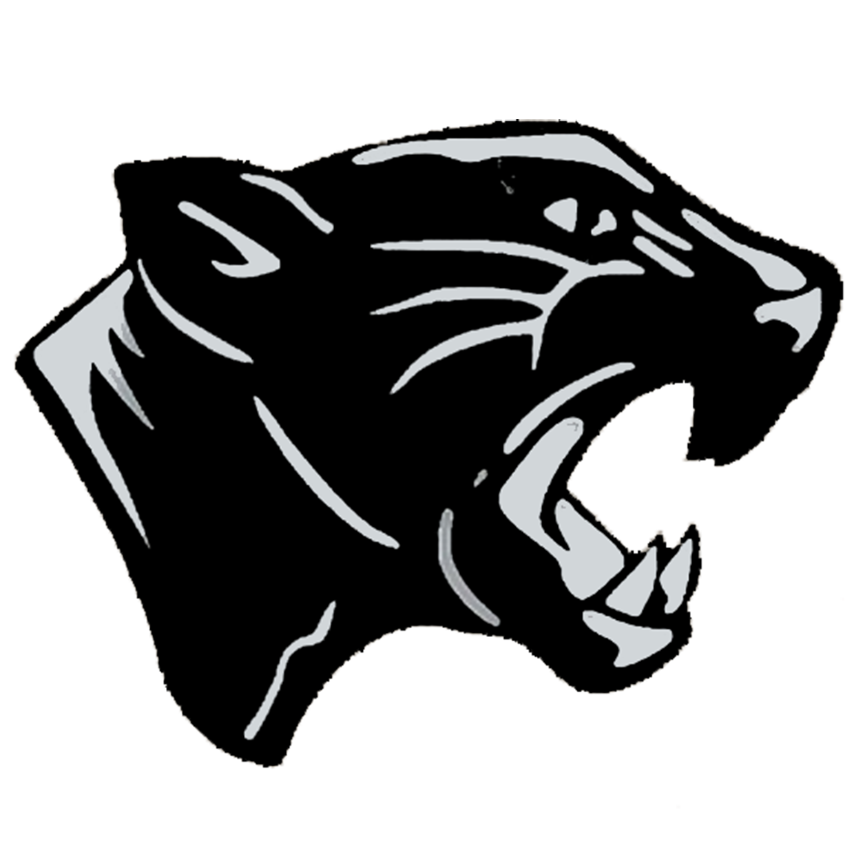 Bigelow High School