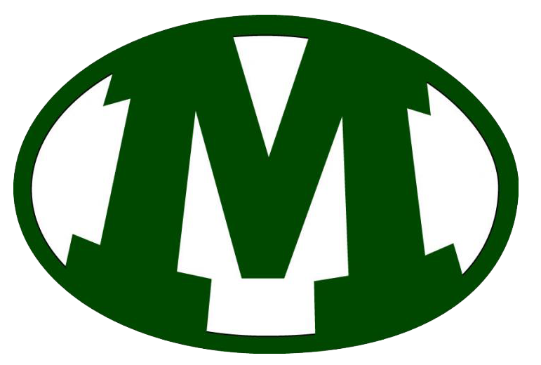 Medina High School