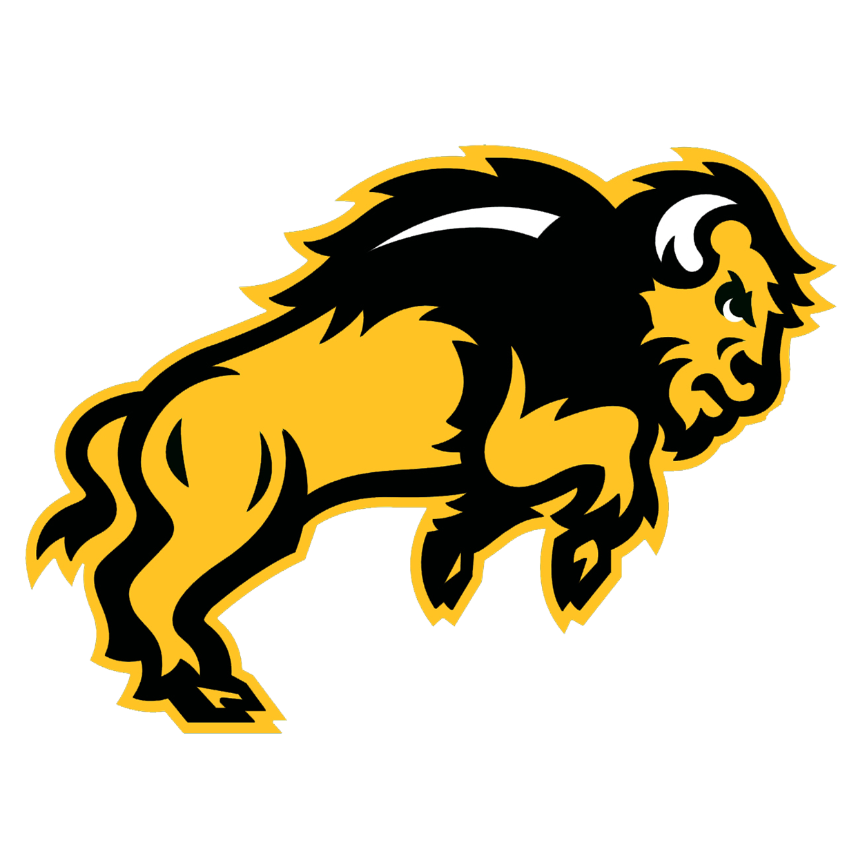 Carlisle High School