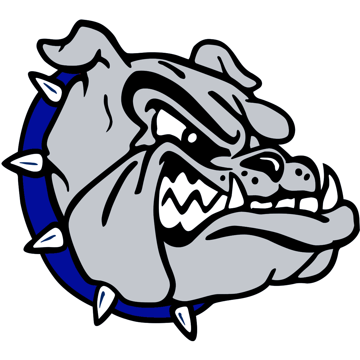 Bald Knob High School