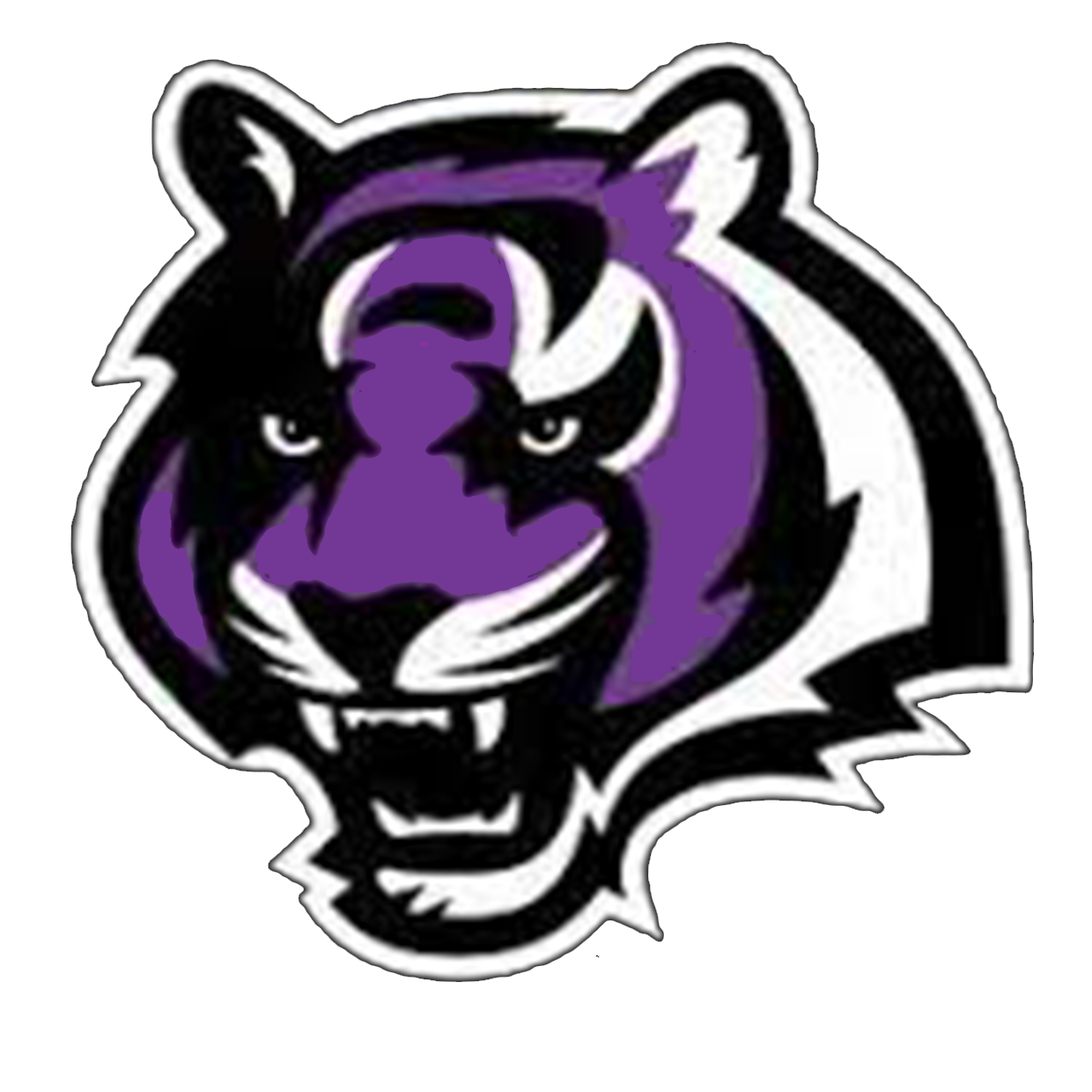 Bessemer City High School