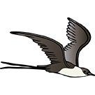 Ayaprun & Mertarvik