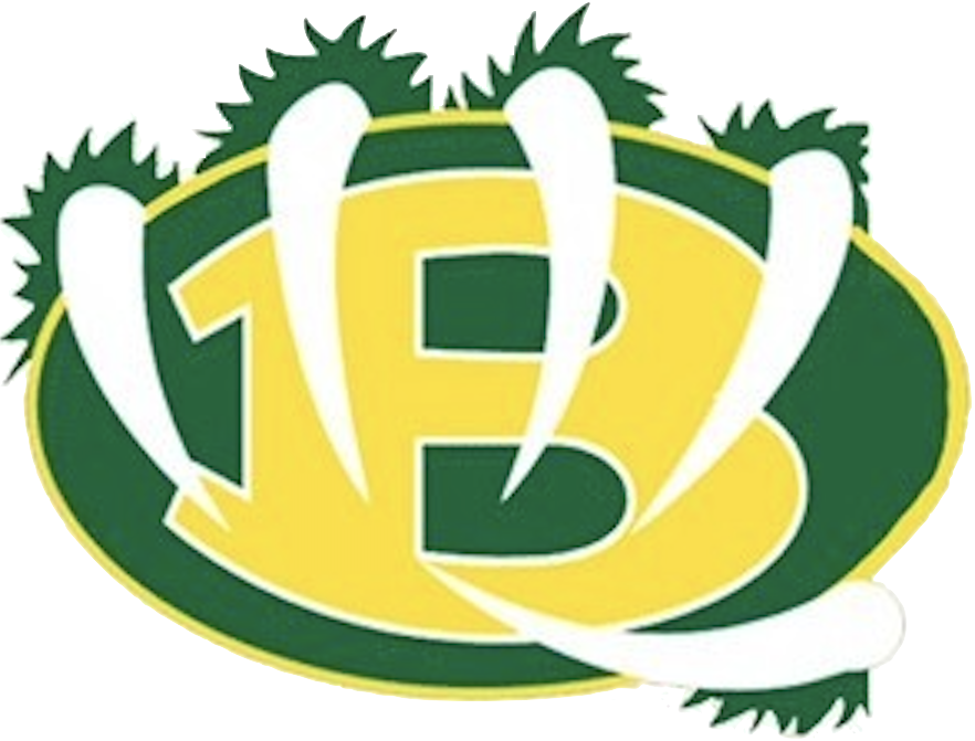 Bethel High School