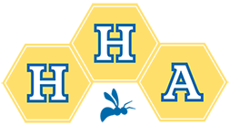 Hampstead Hill Academy