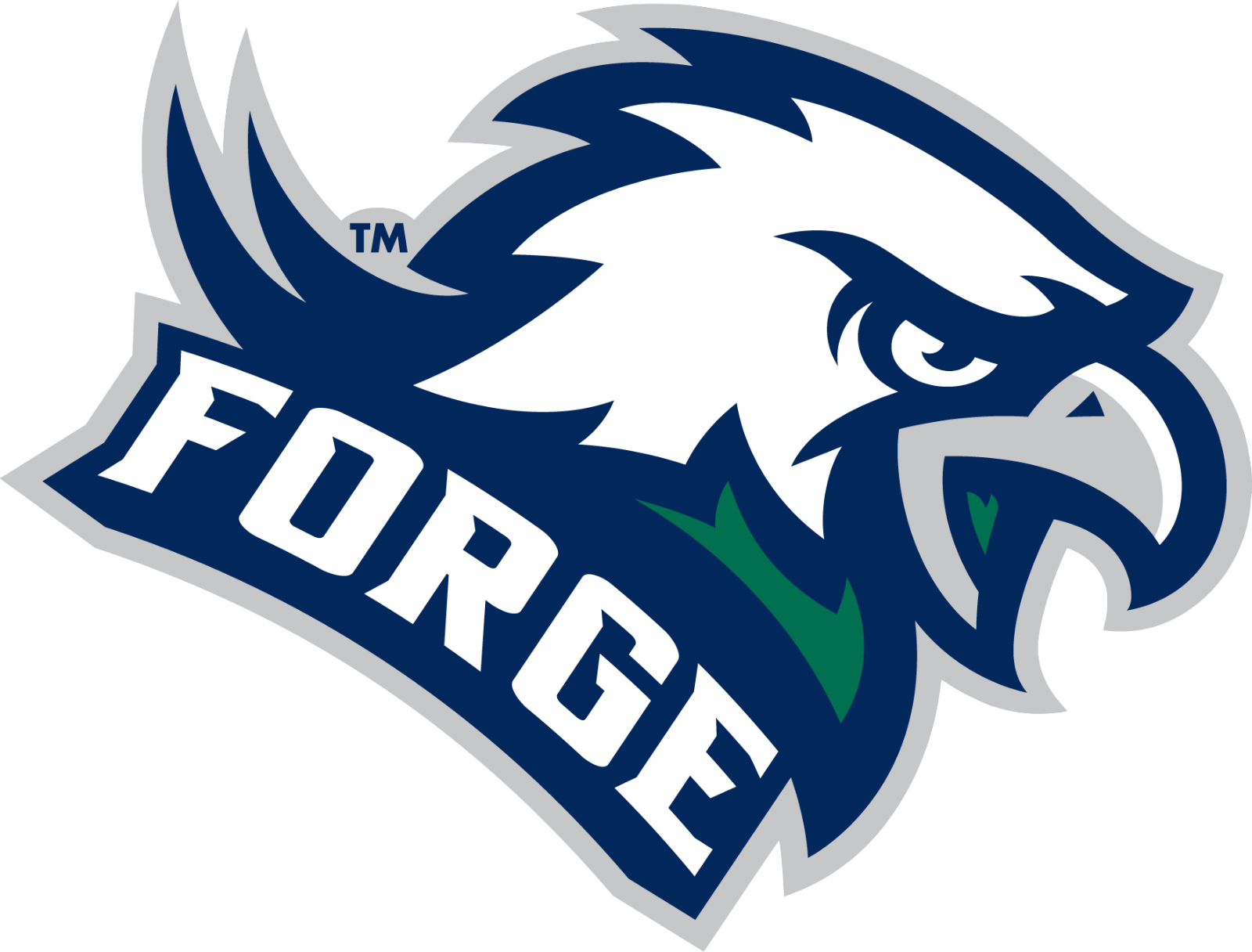 Colonial Forge
