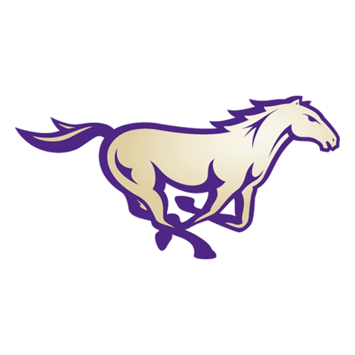 Central Arkansas Christian