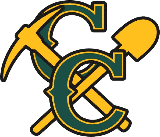 Coal City High School