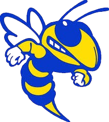 New Athens High School