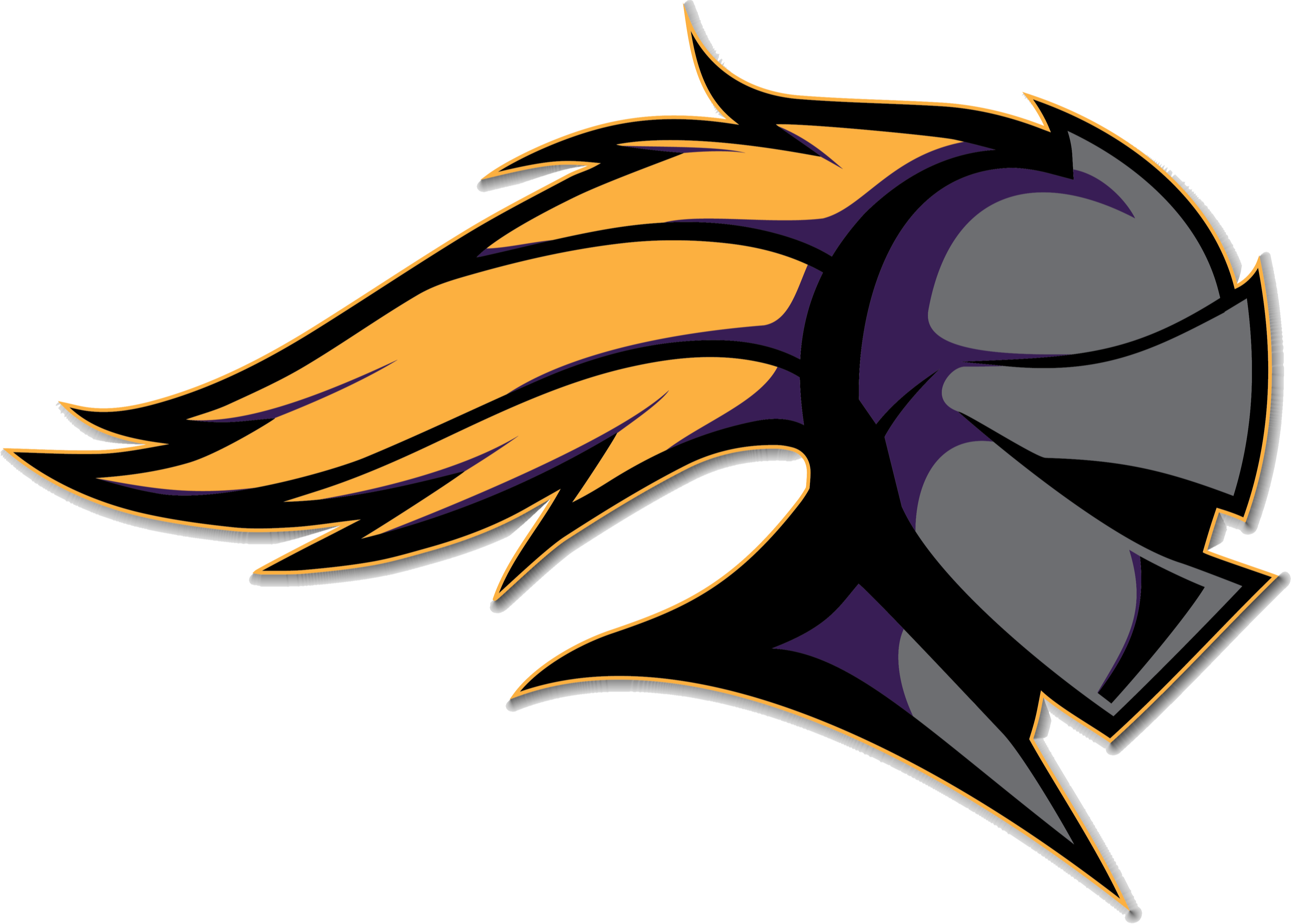 Lake Havasu High School