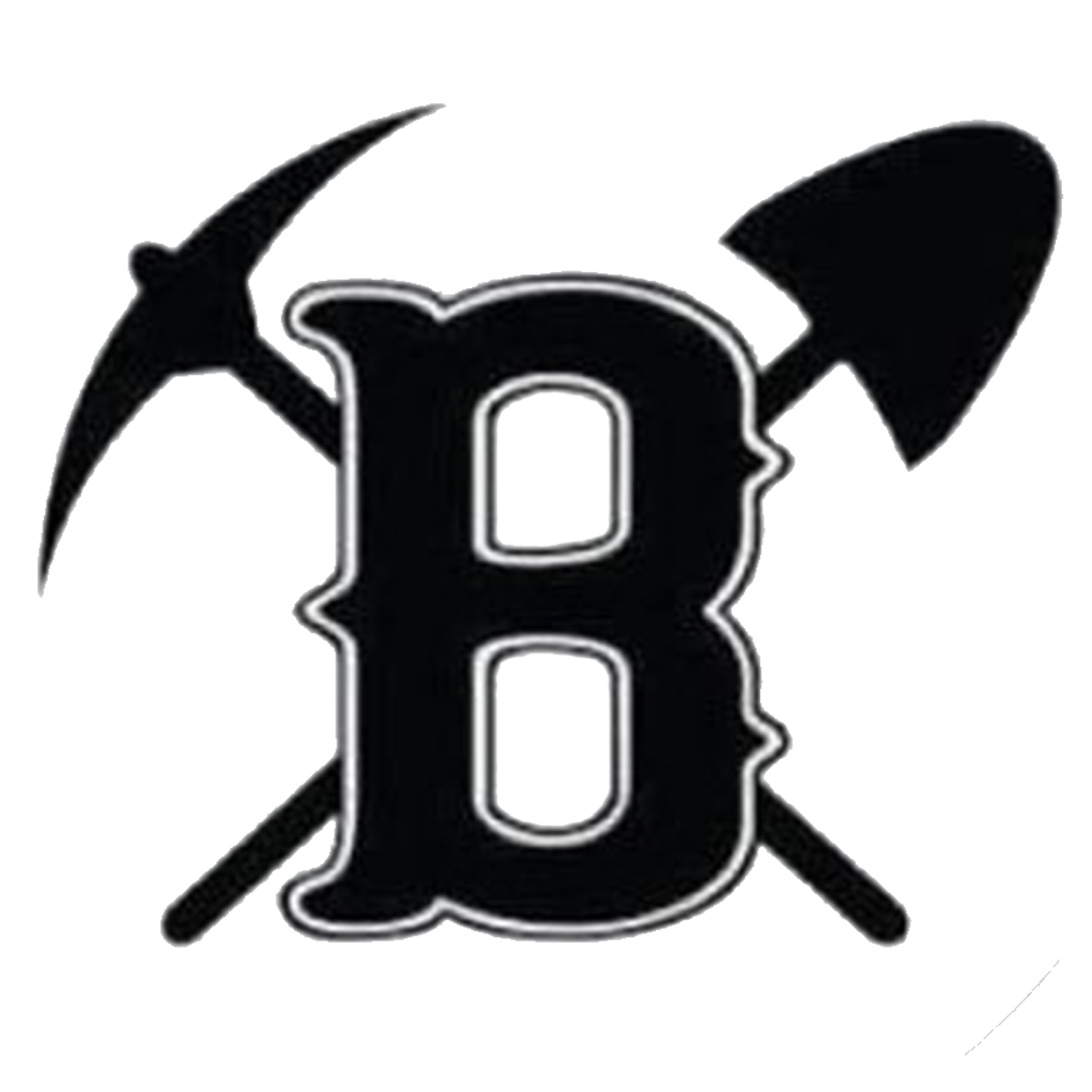 Bauxite High School