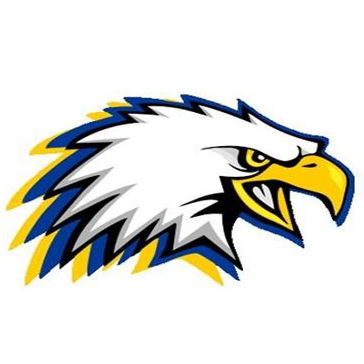 Cold Springs High School