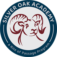 Silver Oak Academy