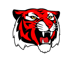 Moon Area High School