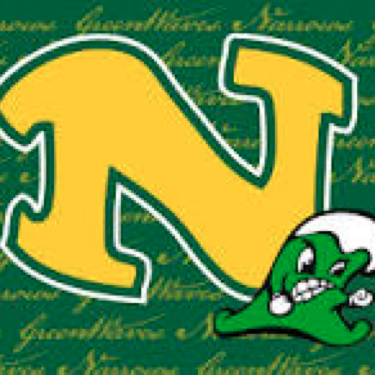 Narrows High School