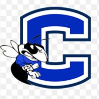 Chelsea High School
