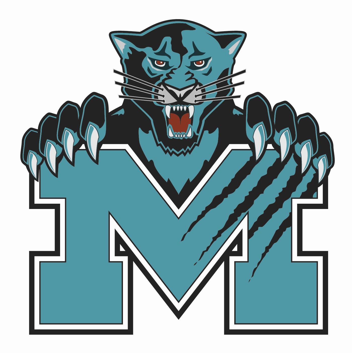 Massaponax High School (VA)
