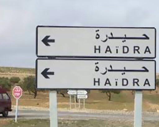 الصورة الرئيسية