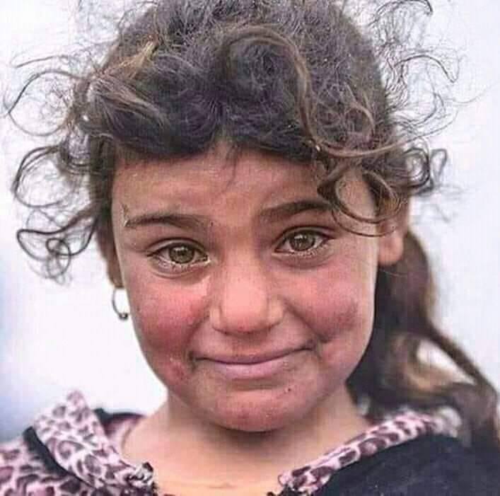 الصورة الرئيسية