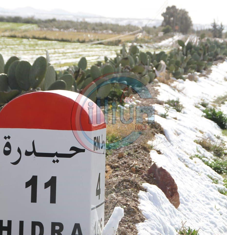 الصورة الرئيسية