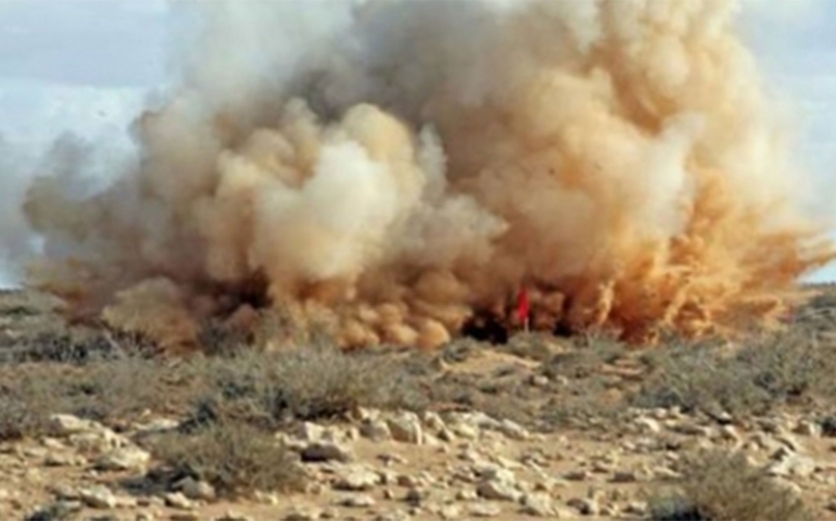 الصورة الرئيسية