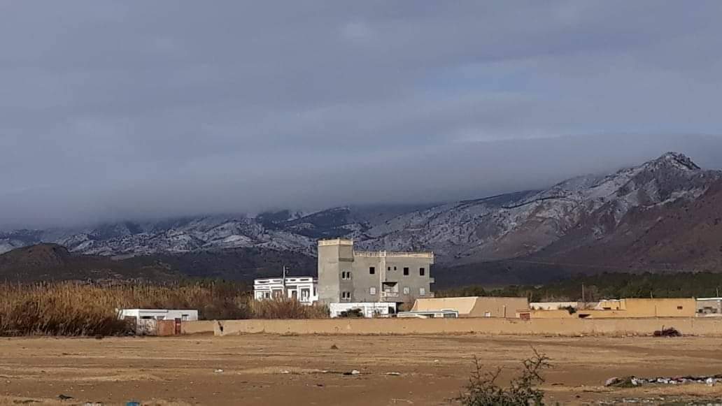 الصورة الرئيسية