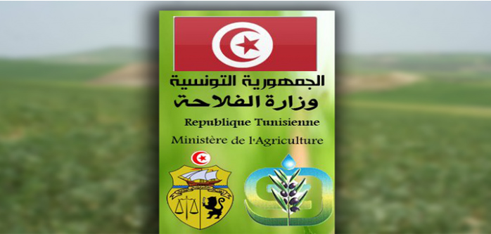 الصورة الرئيسية