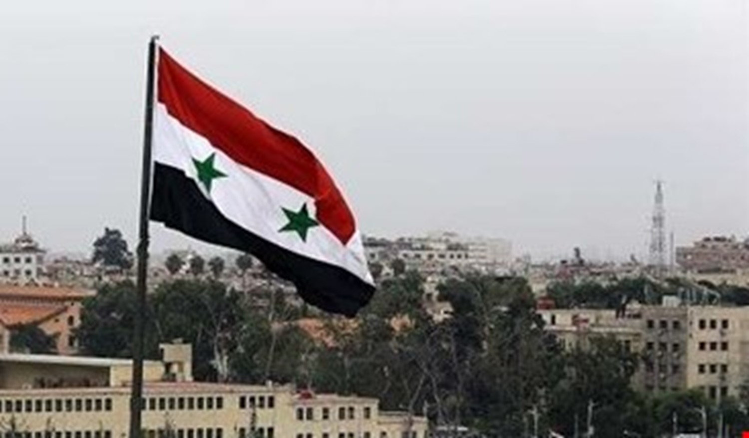 الصورة الرئيسية