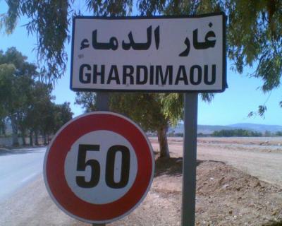 الصورة الرئيسية