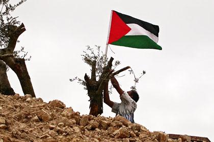 الصورة الرئيسية