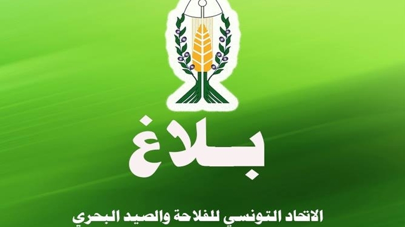 الصورة الرئيسية