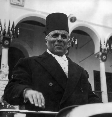الصورة الرئيسية