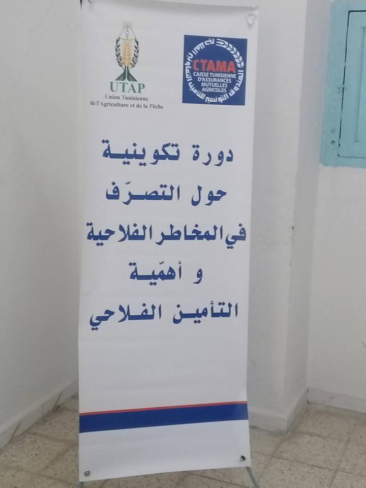 الصورة الرئيسية