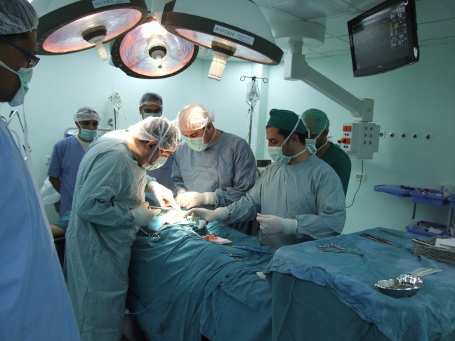الصورة الرئيسية