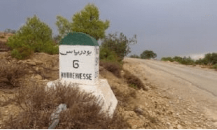 الصورة الرئيسية