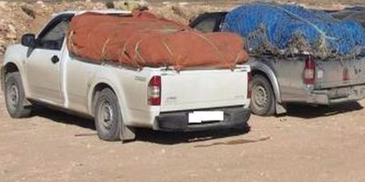 الصورة الرئيسية