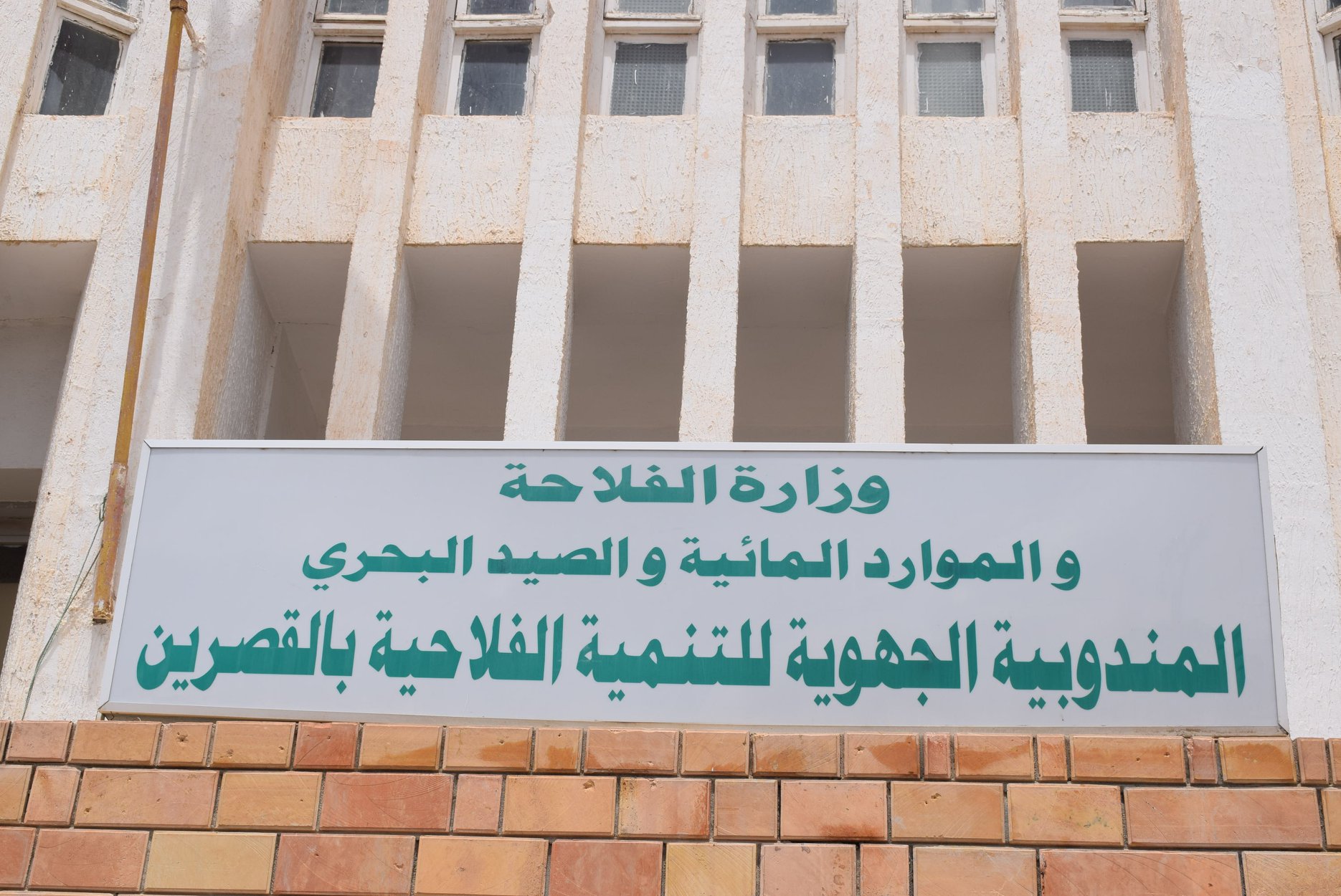 الصورة الرئيسية