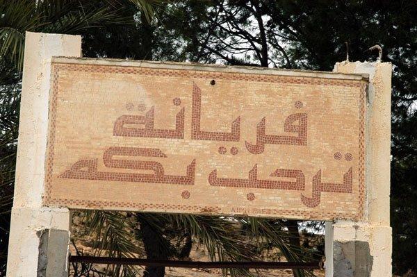 الصورة الرئيسية