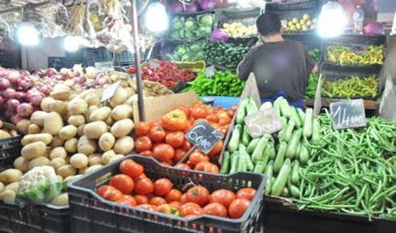 الصورة الرئيسية