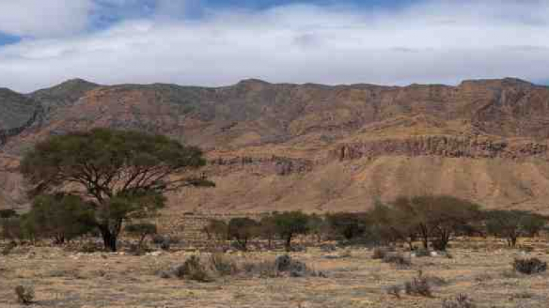 الصورة الرئيسية