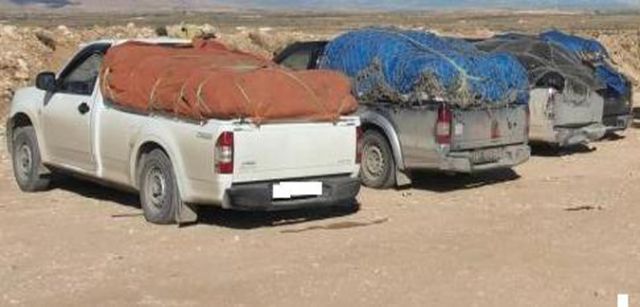 الصورة الرئيسية