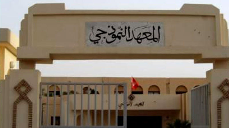 الصورة الرئيسية