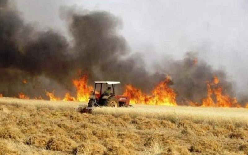 الصورة الرئيسية