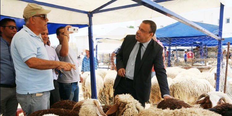 الصورة الرئيسية