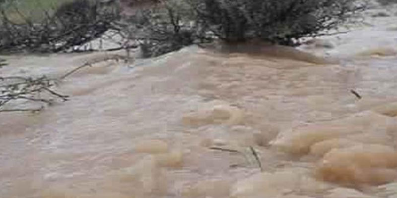 الصورة الرئيسية