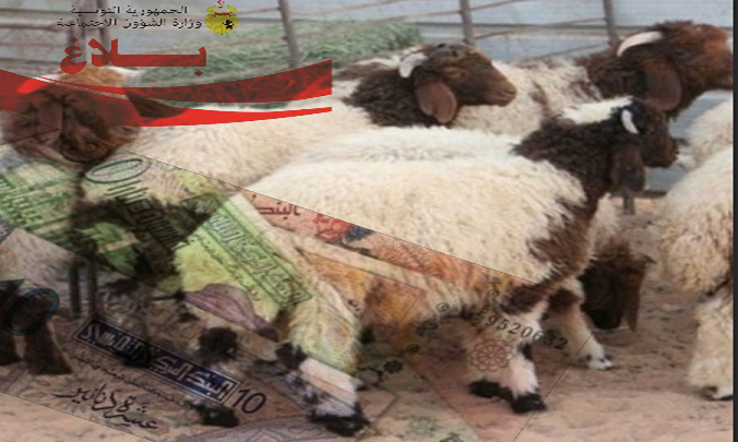 الصورة الرئيسية